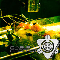 Download: Casus Cerebri / 2010